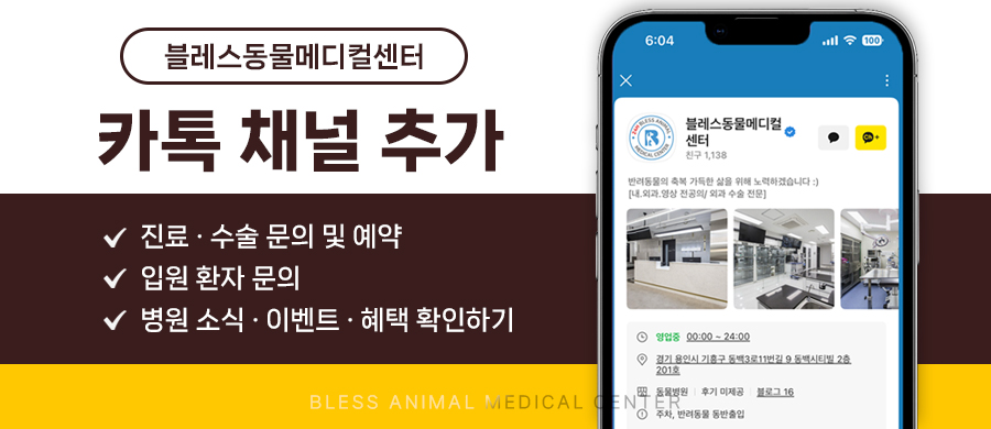 용인 24시 블레스동물병원, 강아지 십자인대파열 TPLO 수술 후기 — 사진 16