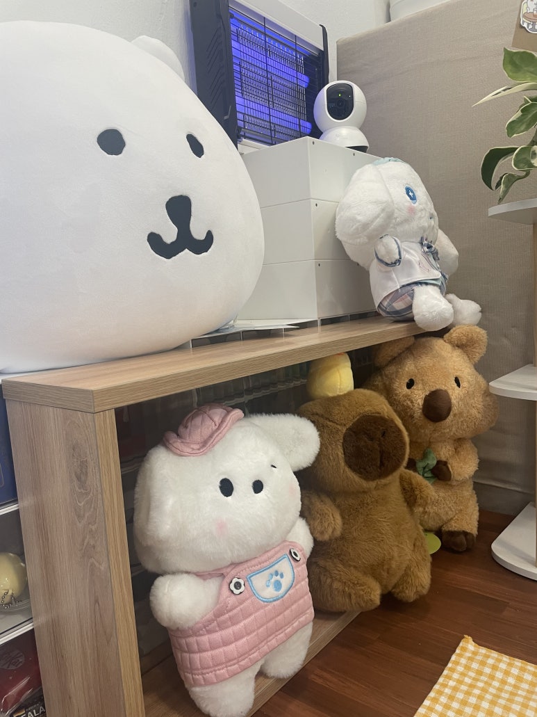 채프터눈 샐러드앤샌드위치 사진 6