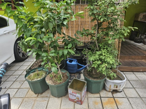 태백식당 사진 7