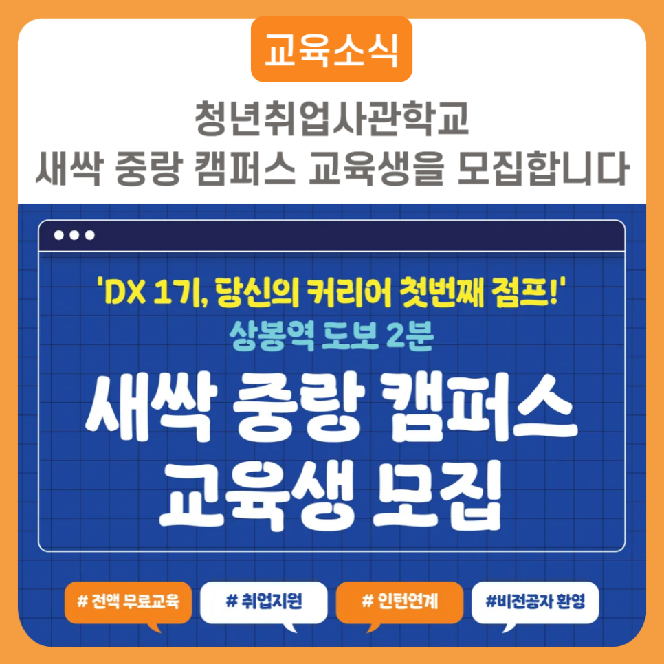 브로콜리 지역정보 관련 사진 2