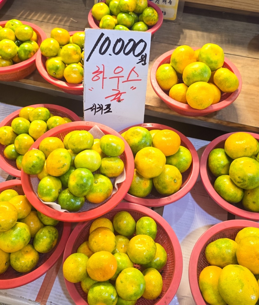 제주 한림오일시장 제주도 오일장 날짜, 맛집 : 네이버 블로그