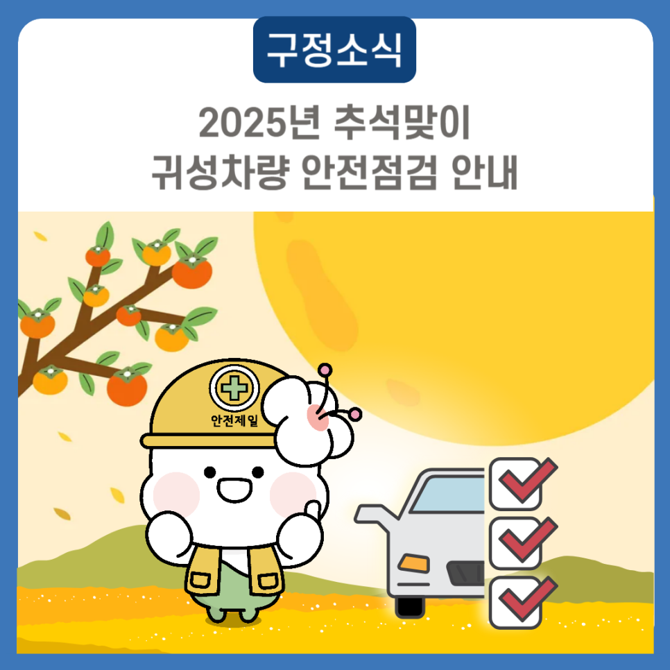 브로콜리 지역정보 관련 사진 2