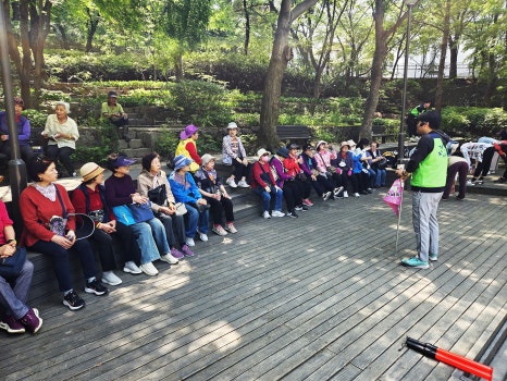 브로콜리 지역정보 관련 사진 4