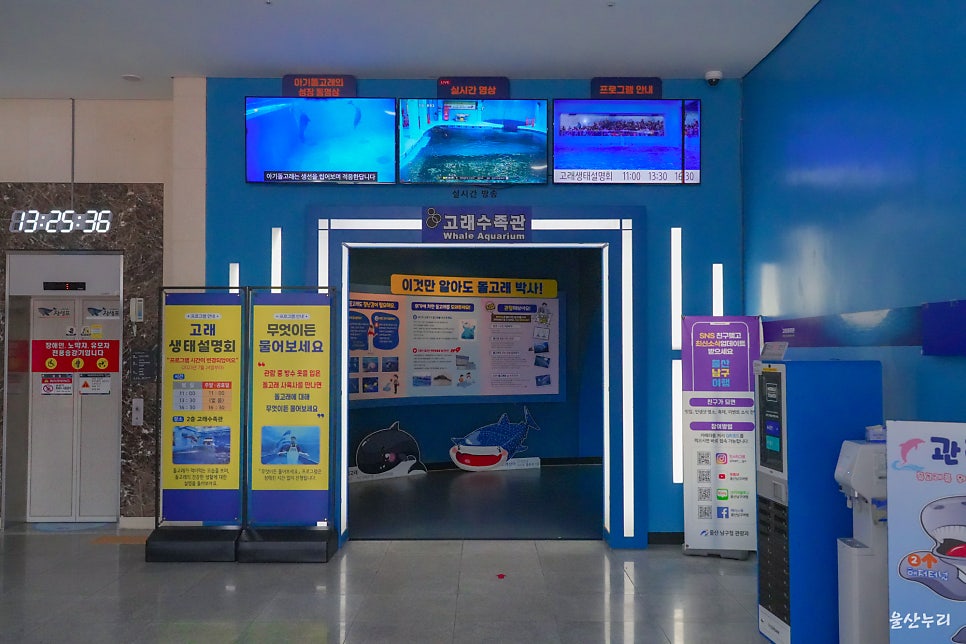 울산 장생포 고래생태체험관: 아이와 함께하는 가족 여행 추천 — 사진 3