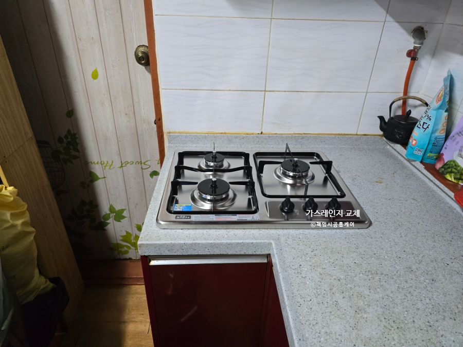 데이지닮다 이미지