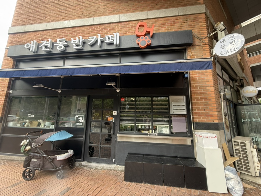 영등포 애견동반카페 '멍', 로키와 함께한 솔직 후기 — 사진 2