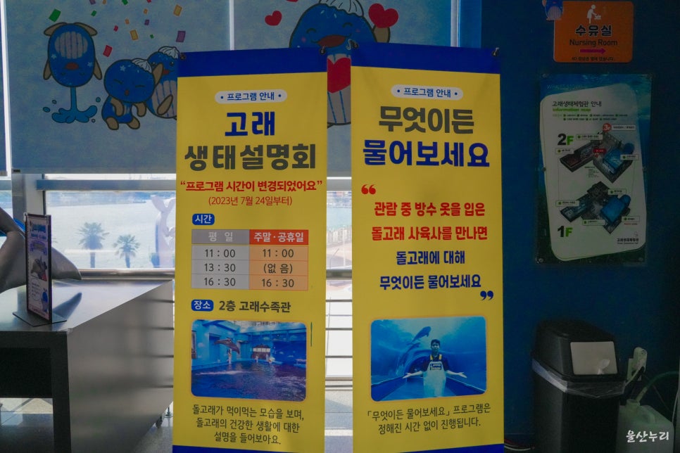 울산 장생포 고래생태체험관: 아이와 함께하는 가족 여행 추천 — 사진 11