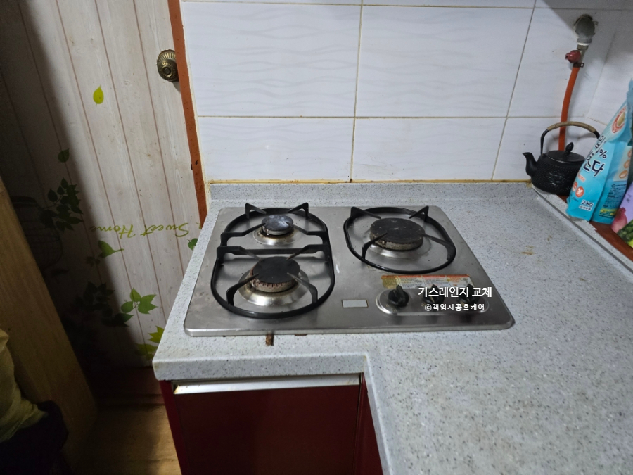 데이지닮다 이미지