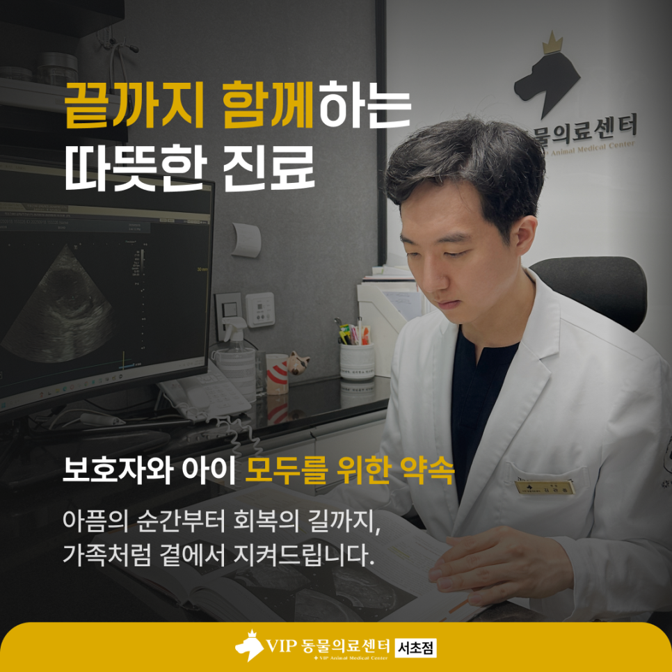 강아지 기관지염 기침 증상, 서초 VIP 동물병원 치료 후기 — 사진 5