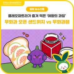 가을 제철 무화과 요리! [무화과 오픈 샌드위치 vs 무화과 잼] 당신의 선택은? 바로가기