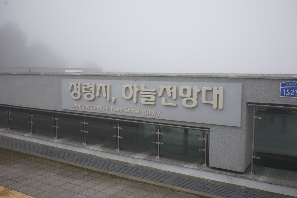 지리산 정령치 하늘전망대 후기 백두대간 가족여행 드라이브 코스 추…