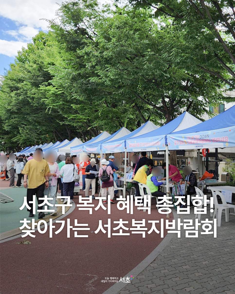 브로콜리 지역정보 관련 사진 1
