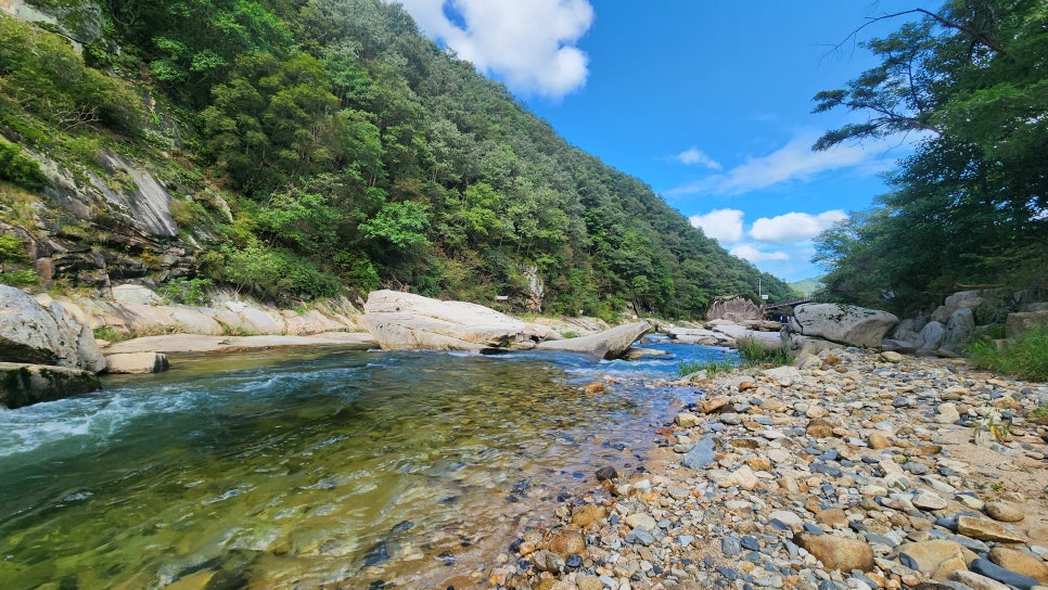 다래펜션 이미지