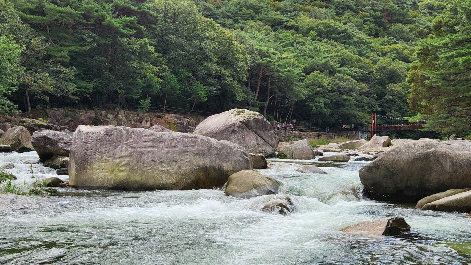 다래펜션 이미지