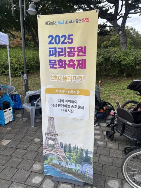 브로콜리 지역정보 관련 사진 17