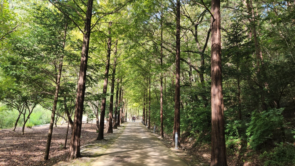 다래펜션 이미지