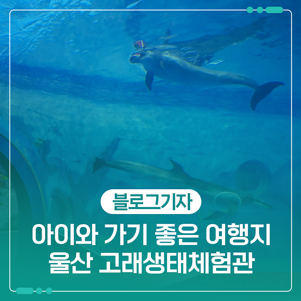 울산 장생포 고래생태체험관: 아이와 함께하는 가족 여행 추천