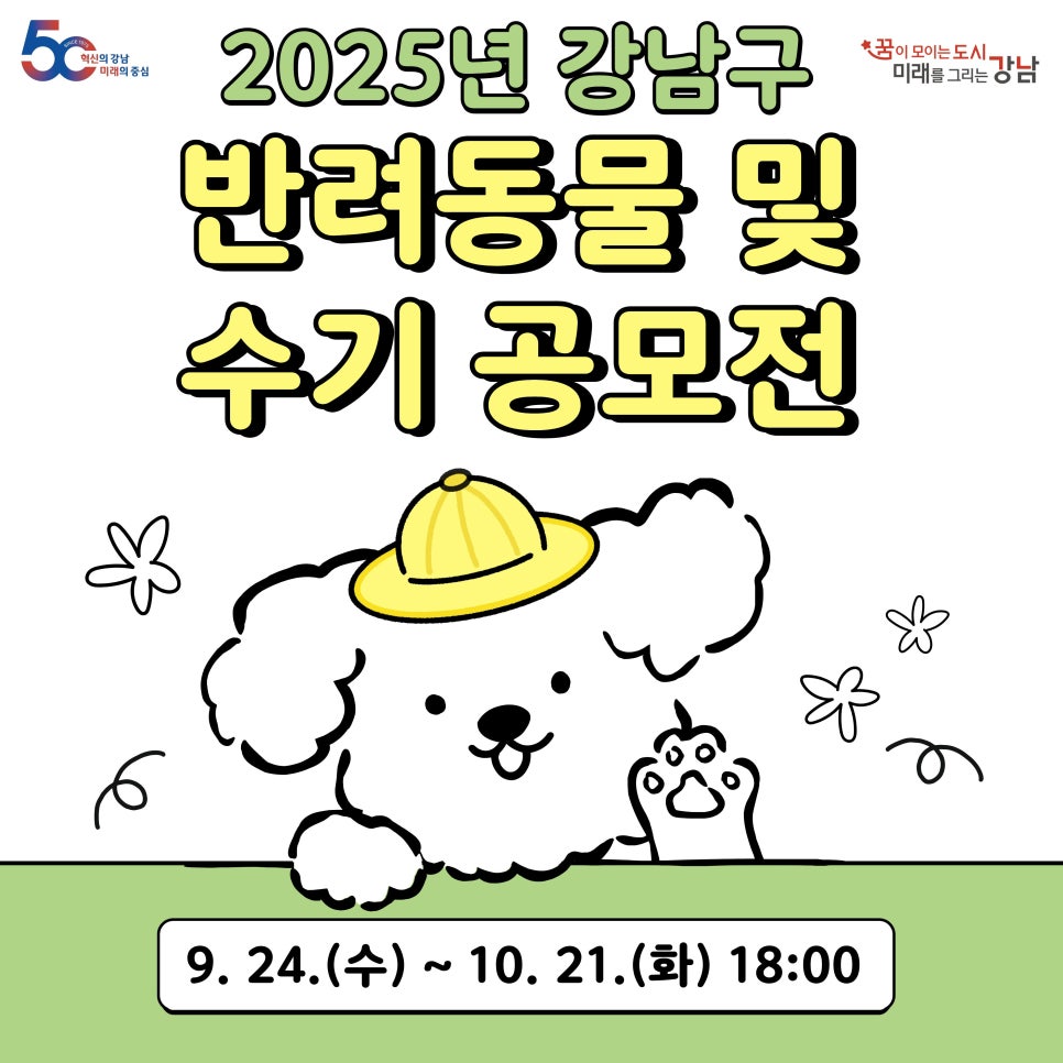 브로콜리 지역정보 관련 사진 1