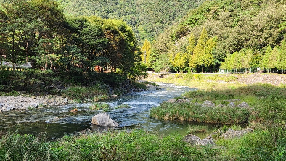 다래펜션 이미지