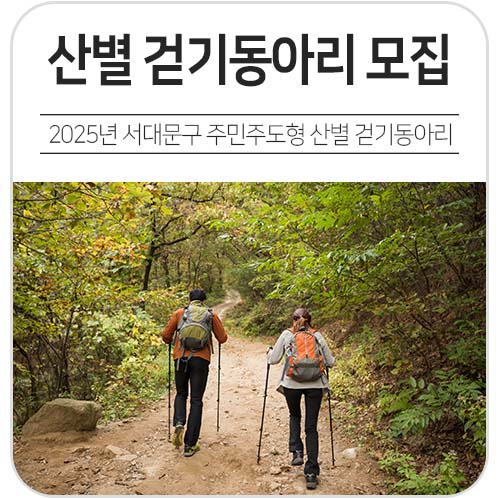 브로콜리 지역정보 관련 사진 2