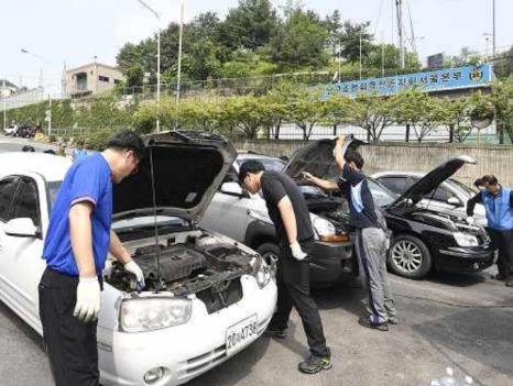 브로콜리 지역정보 관련 사진 1