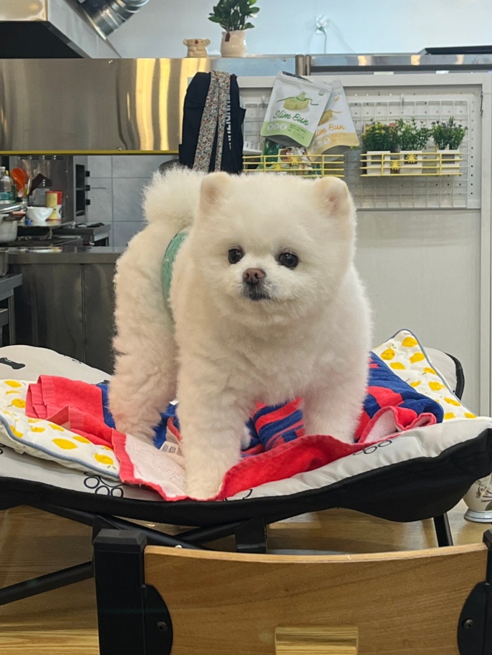 자매식당 사진 3