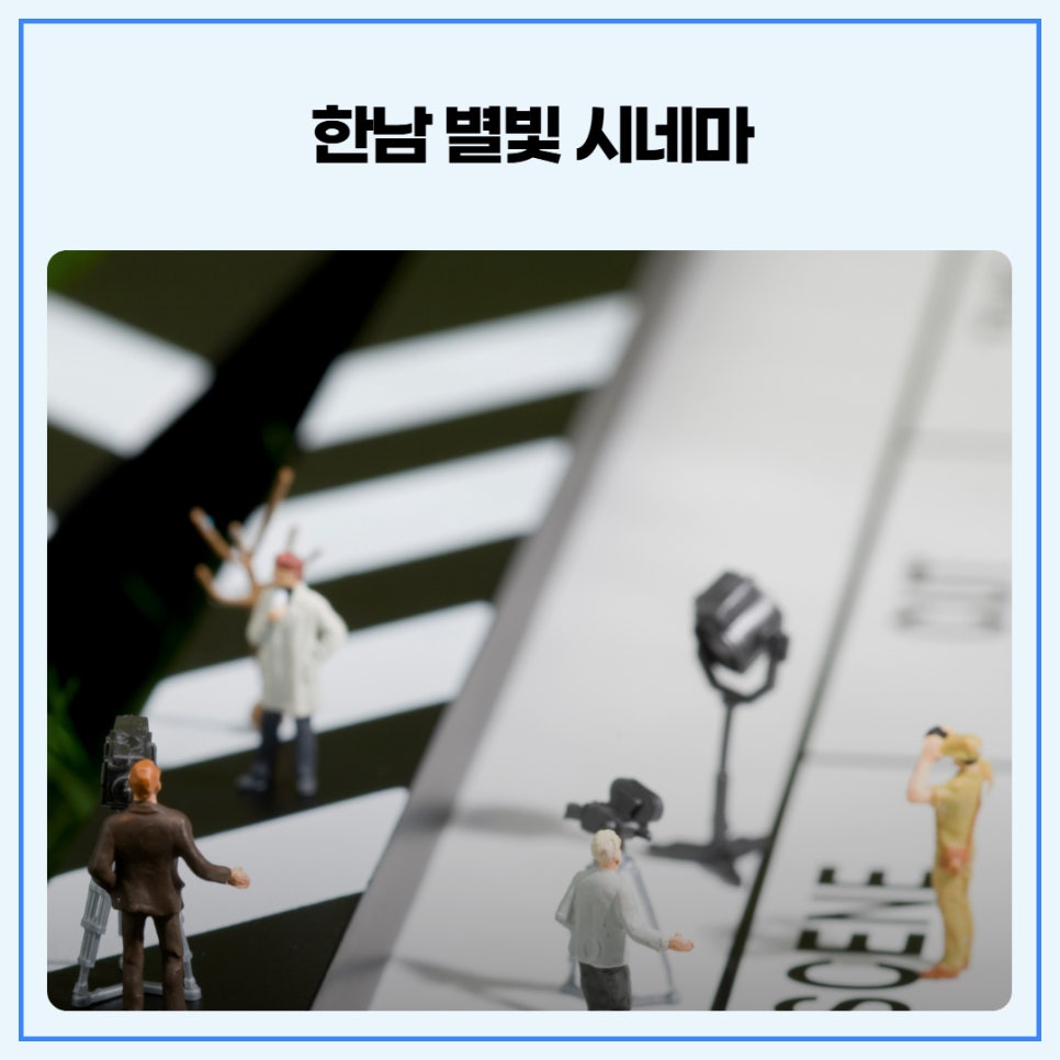 브로콜리 지역정보 관련 사진 4