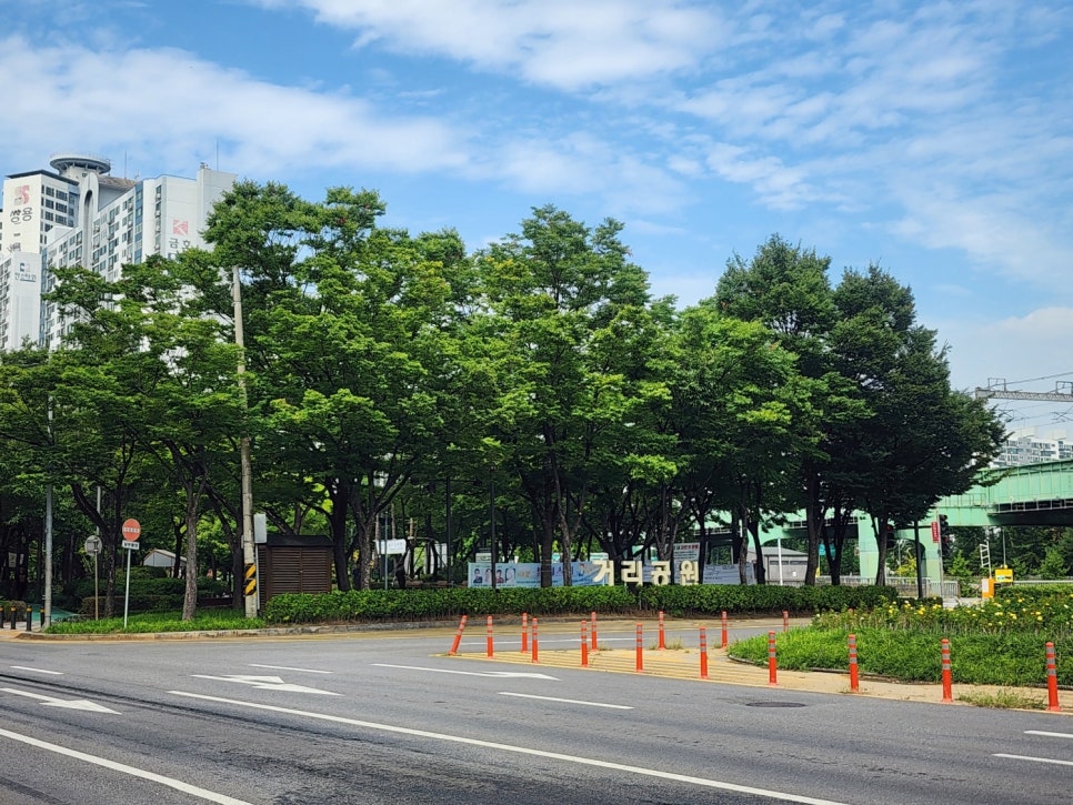 브로콜리 지역정보 관련 사진 1