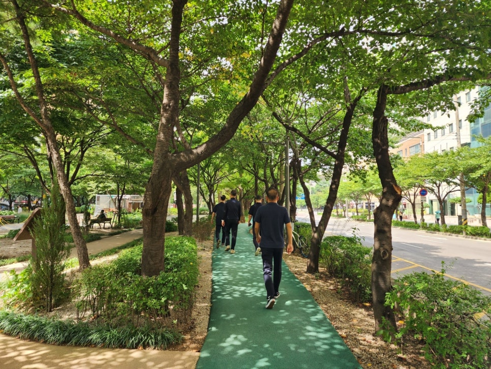 브로콜리 지역정보 관련 사진 18