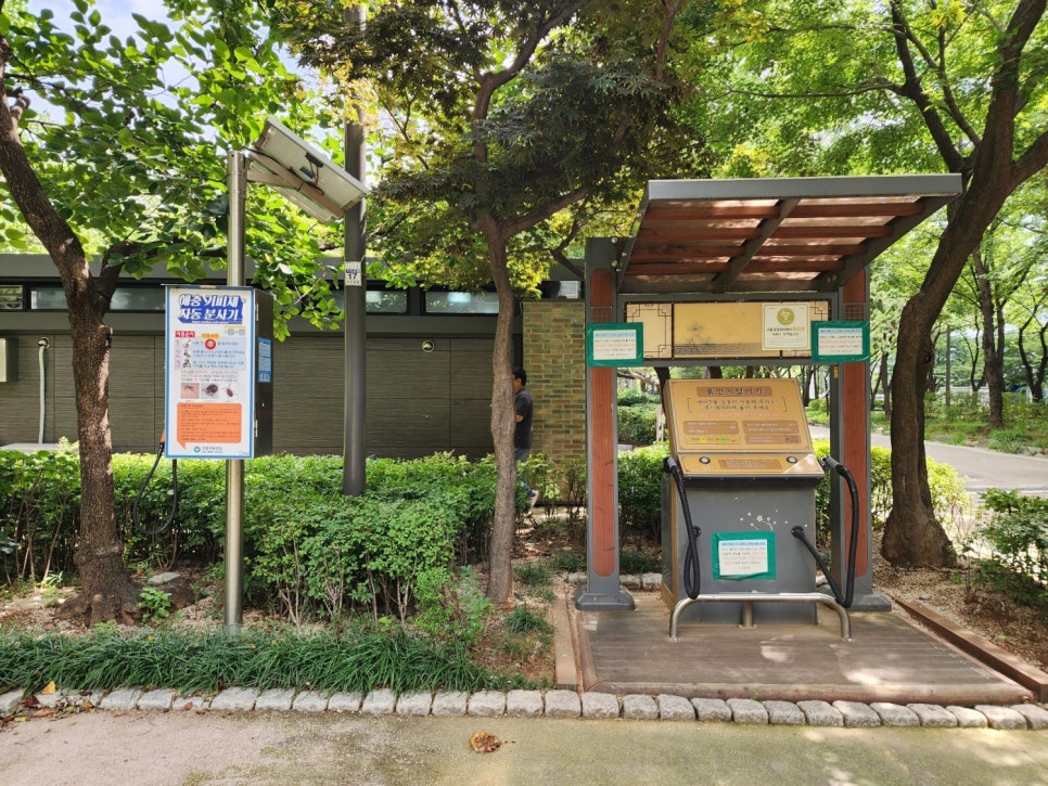 브로콜리 지역정보 관련 사진 7