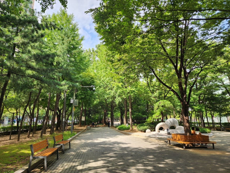 브로콜리 지역정보 관련 사진 11