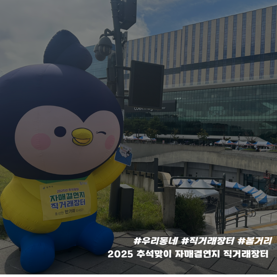 브로콜리 지역정보 관련 사진 18