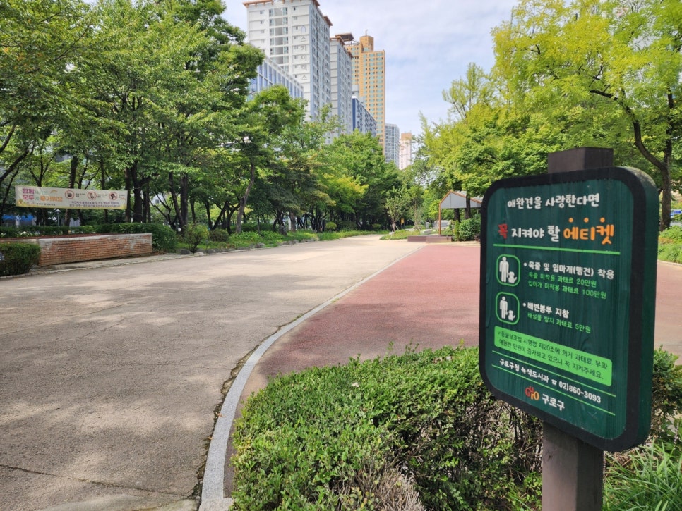 브로콜리 지역정보 관련 사진 17
