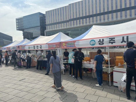 브로콜리 지역정보 관련 사진 4