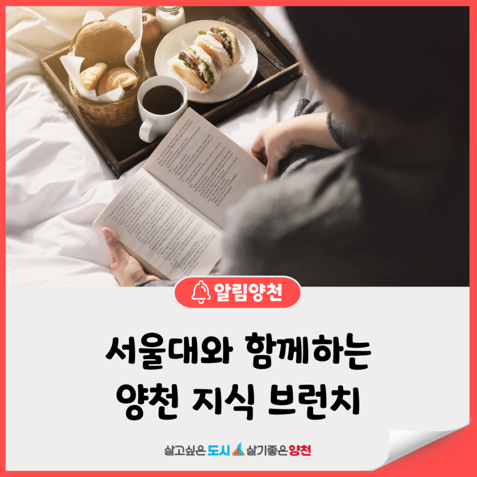 브로콜리 지역정보 관련 사진 2