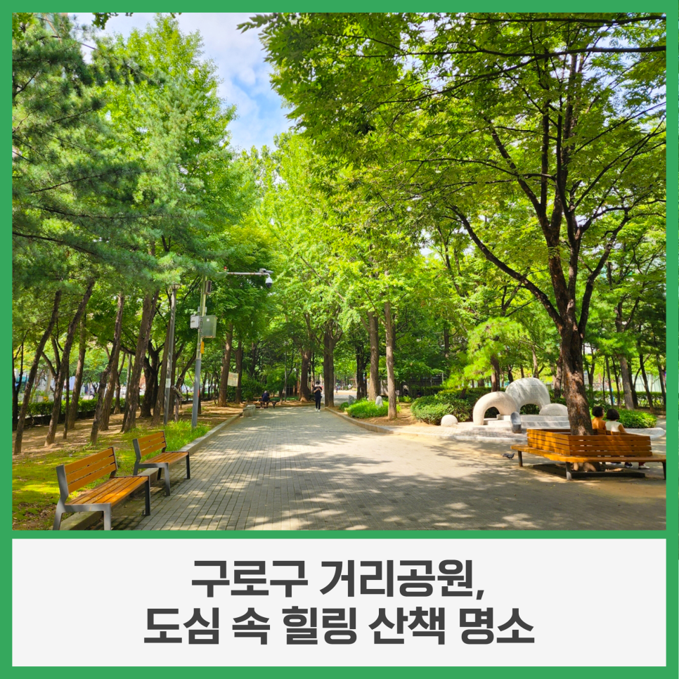 브로콜리 지역정보 관련 사진 27