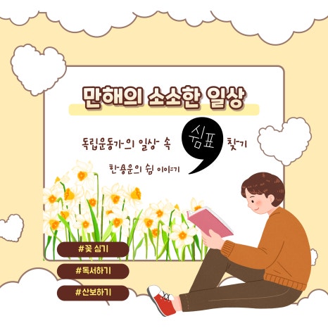 브로콜리 지역정보 관련 사진 4