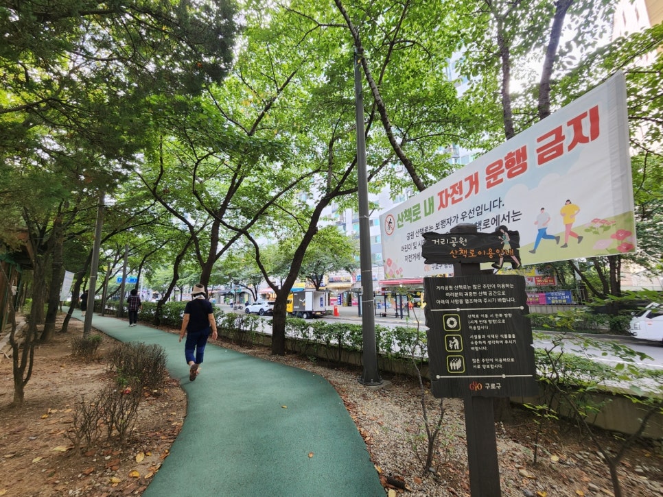 브로콜리 지역정보 관련 사진 12