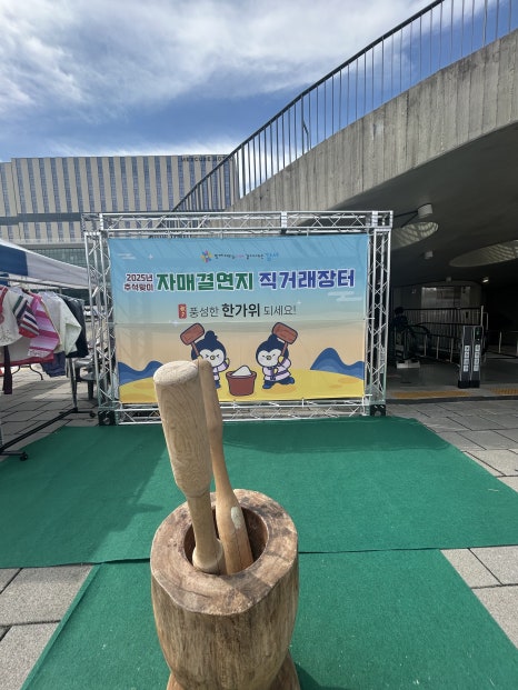 브로콜리 지역정보 관련 사진 7