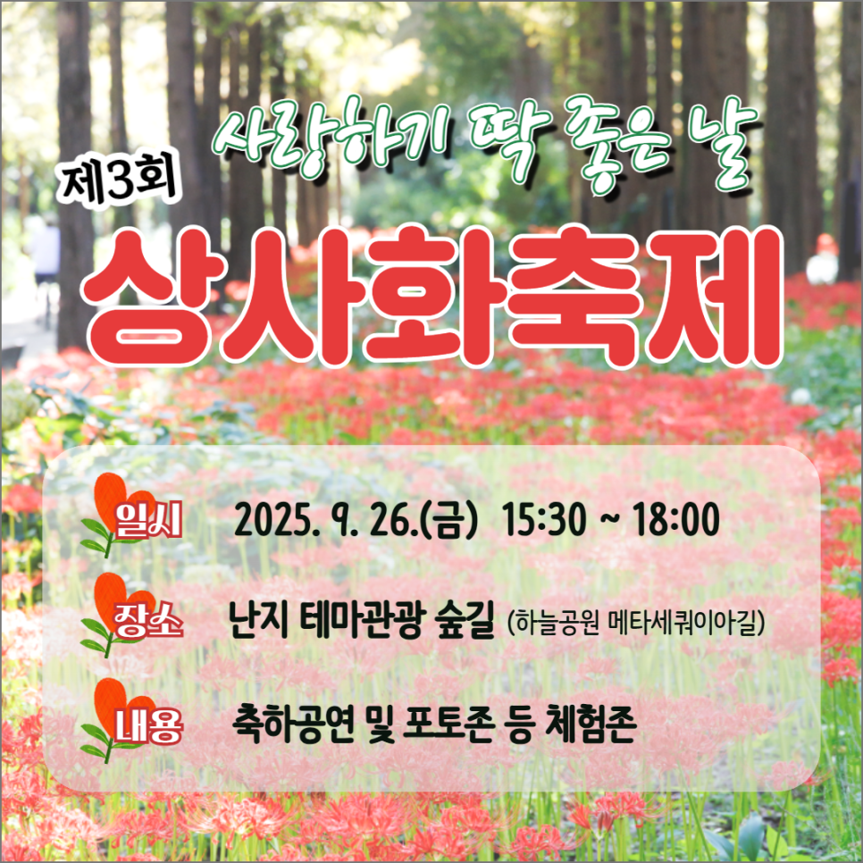 브로콜리 지역정보 관련 사진 1