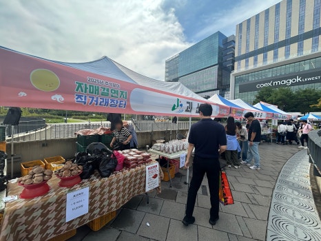 브로콜리 지역정보 관련 사진 2