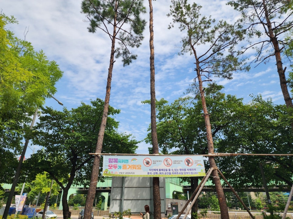 브로콜리 지역정보 관련 사진 16