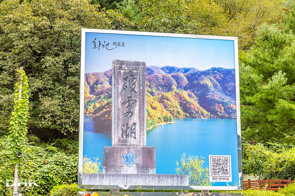 콩사랑 사진 3