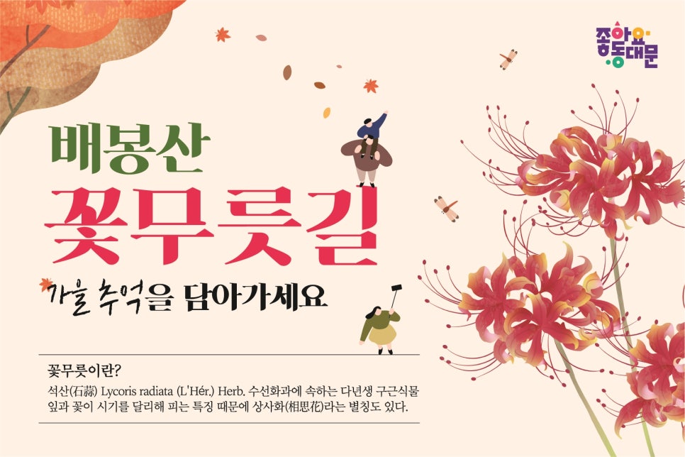 브로콜리 지역정보 관련 사진 13