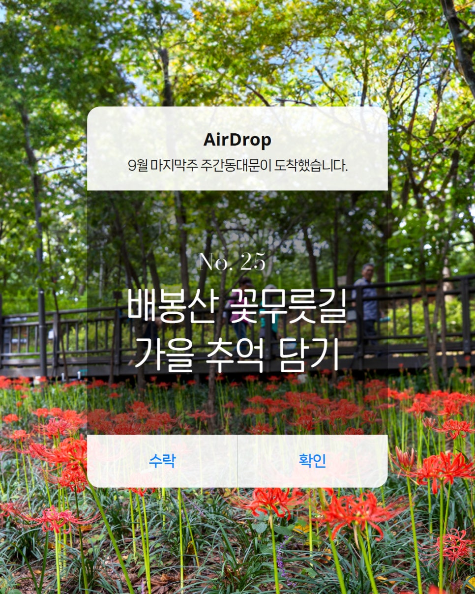 브로콜리 지역정보 관련 사진 28