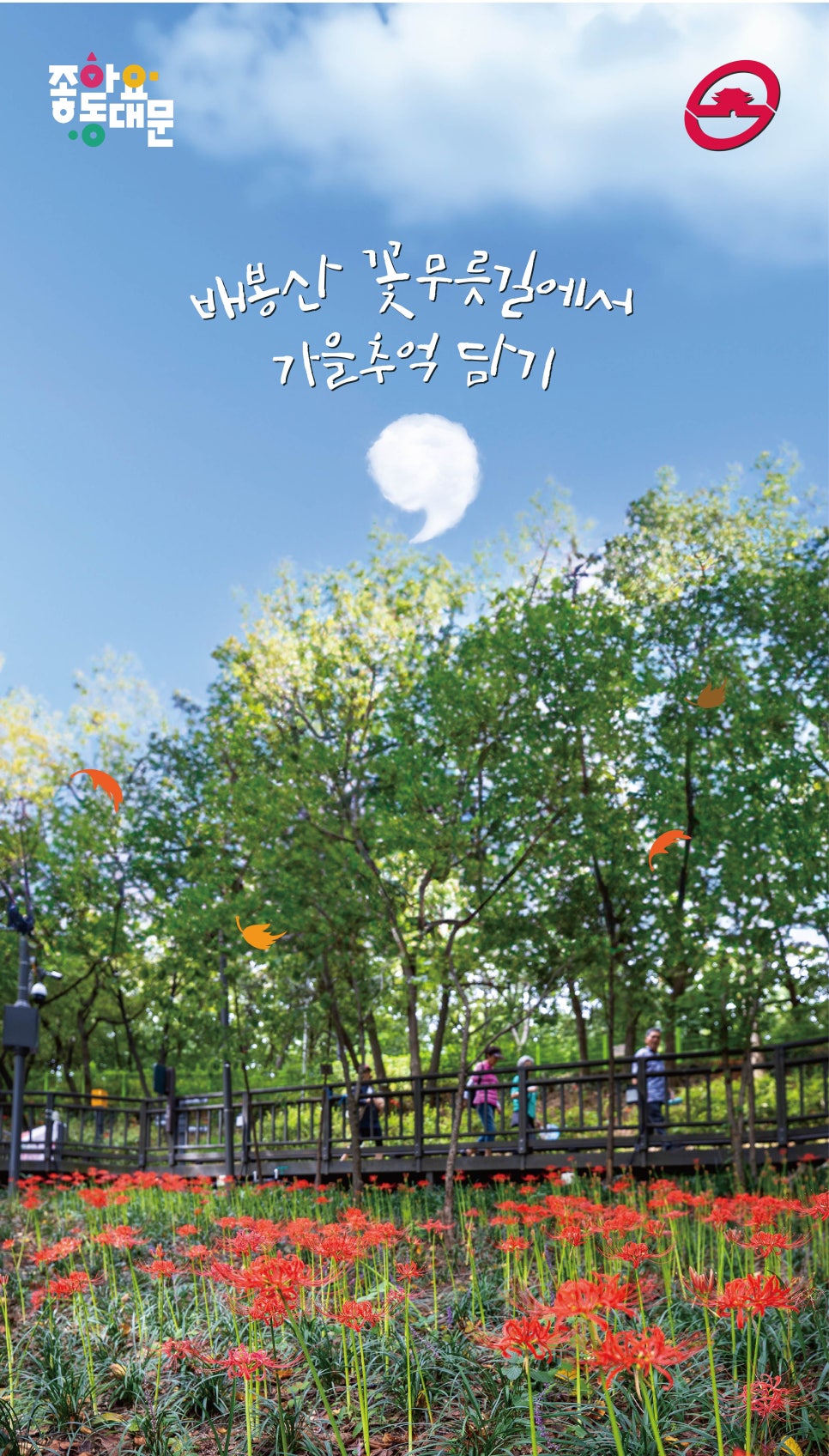 브로콜리 지역정보 관련 사진 10