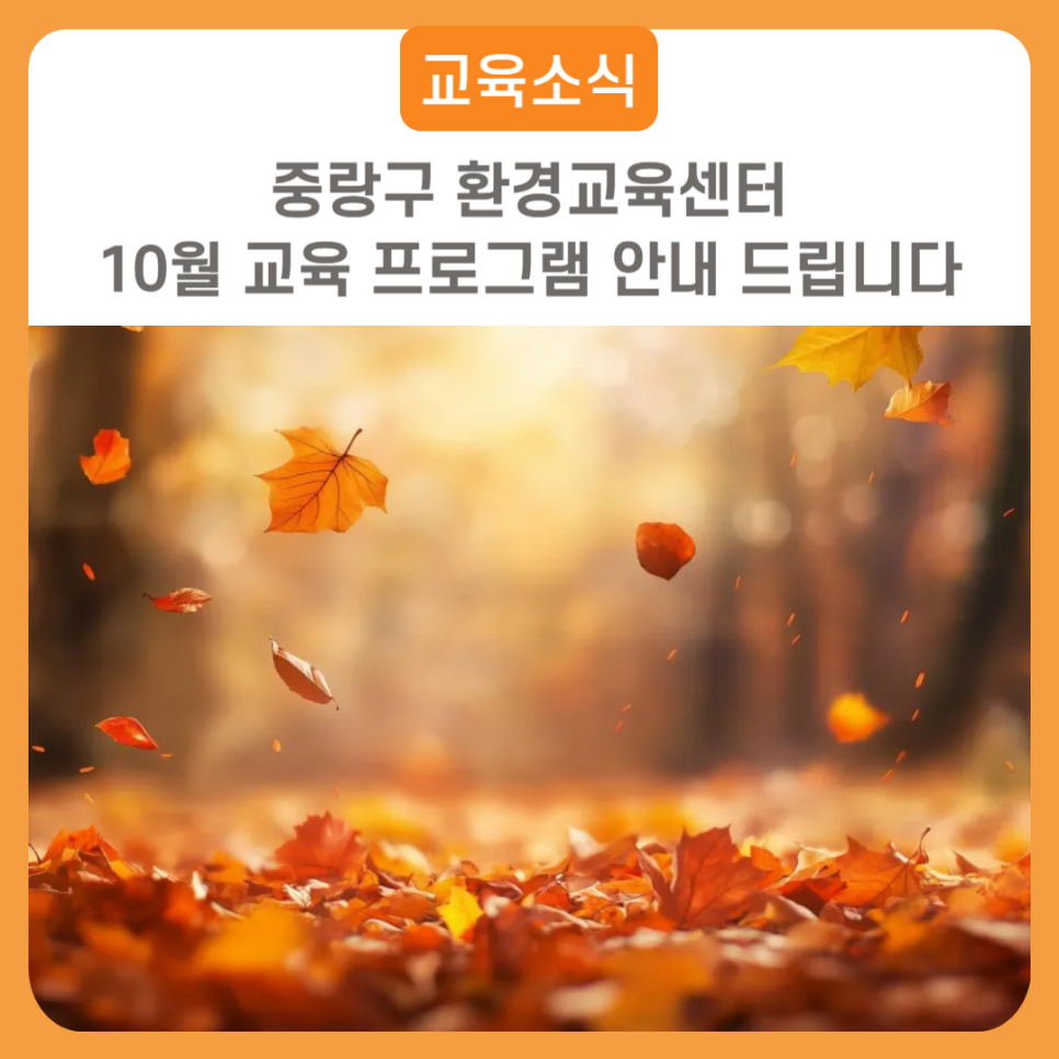 브로콜리 지역정보 관련 사진 2