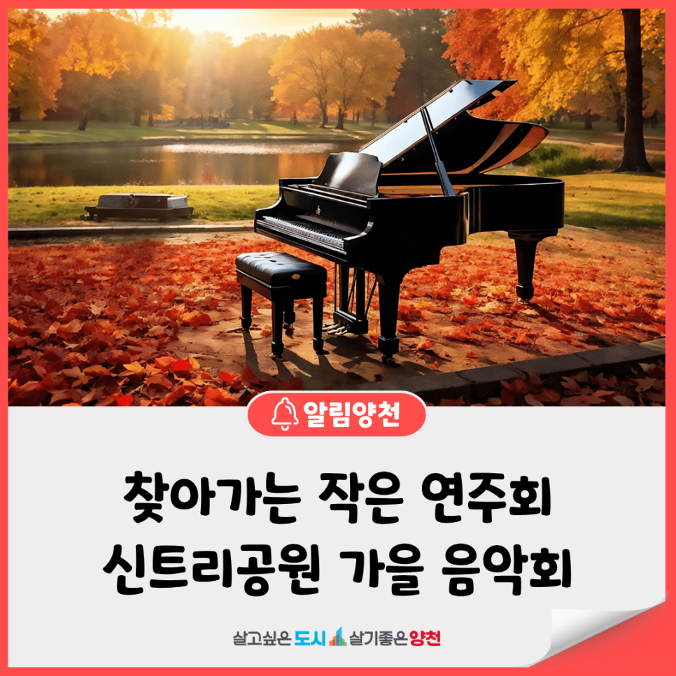 브로콜리 지역정보 관련 사진 2