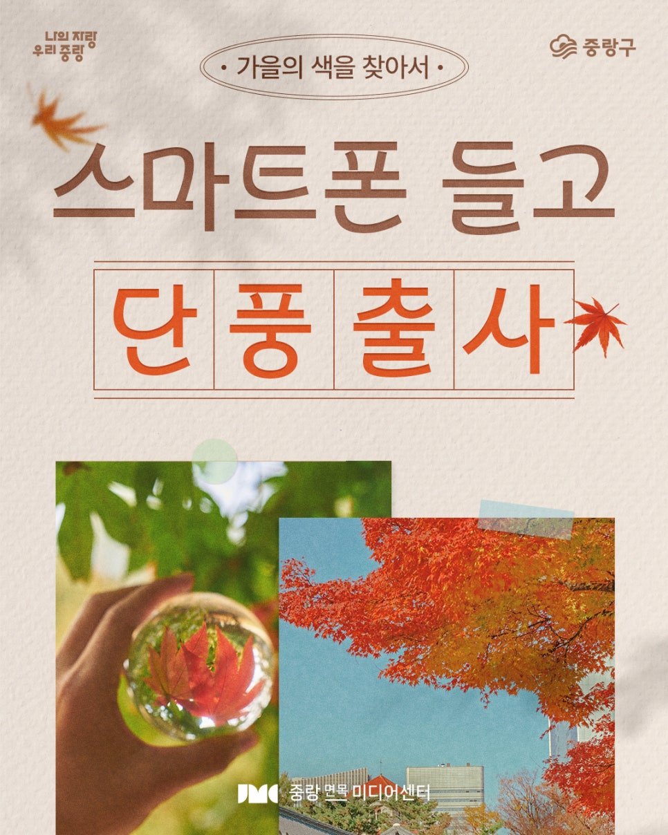 브로콜리 지역정보 관련 사진 5