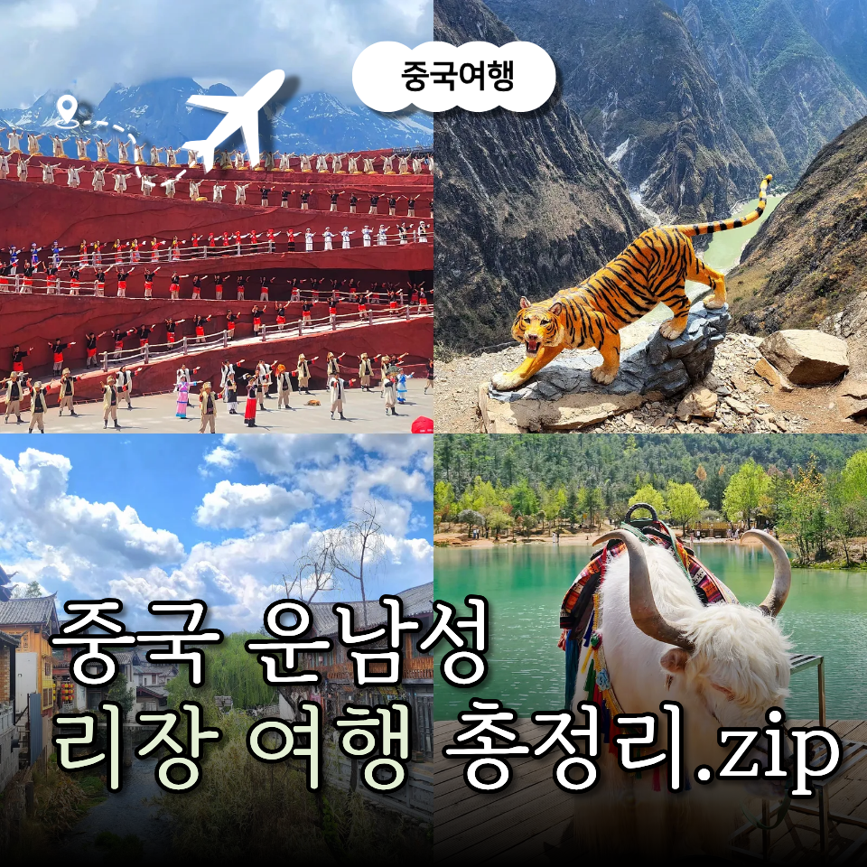 중국 운남성 리장 여행 총 정리 옥룡설산 호도협 리장고전 : 네이버 블로그